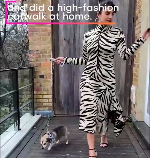 Myntra ‘What’s Haute This Week’